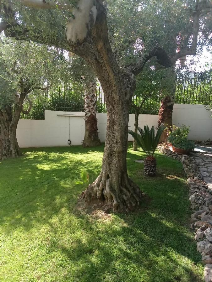Villa Agata Forchia Exterior foto